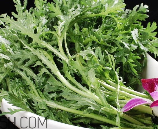 皇帝菜是什么樣子？皇帝菜又叫什么菜