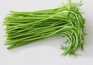 藜蒿多少錢一斤？藜蒿和蘆蒿是同一種菜嗎？