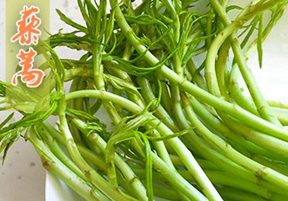 藜蒿什么季節(jié)有？藜蒿是發(fā)物嗎