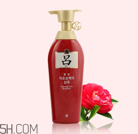 紅呂洗發(fā)水怎么樣？紅呂洗發(fā)水多少錢？