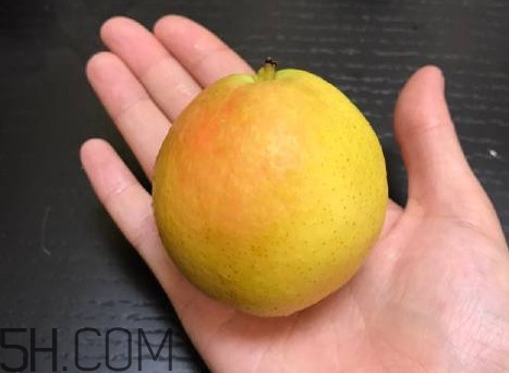 南果梨是發(fā)物嗎？南果梨是酸性還是堿性