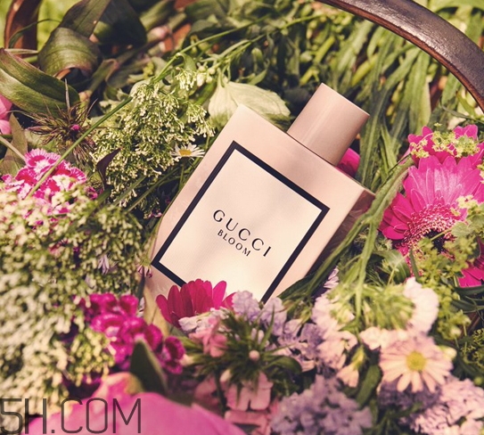 gucci bloom香水多少錢？gucci bloom香水專柜價格
