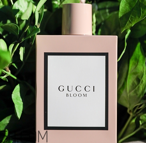 gucci bloom香水多少錢？gucci bloom香水專柜價格