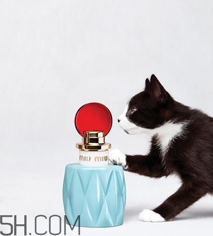 miumiu香水什么檔次？miumiu繆繆香水是哪國的