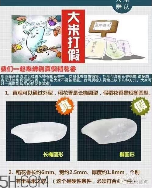 五常大米怎么辨別真假？五常大米和普通米的區(qū)別
