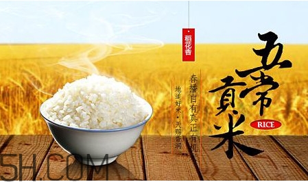 五常大米什么時候種植？五常大米是什么品種