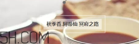冬天適合什么香水？適合冬天的小眾香型香水推薦