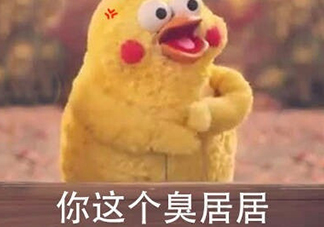 你個(gè)臭居居什么意思？你個(gè)臭居居表情包