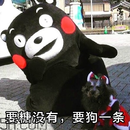不給糖就搗蛋無水印表情包 萬(wàn)圣節(jié)不給糖就搗蛋