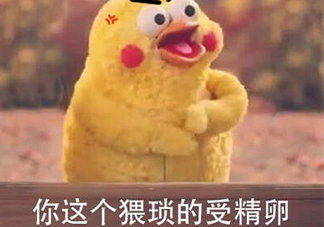 你這個(gè)猥瑣的受精卵是什么意思？你這個(gè)猥瑣的受精卵表情包