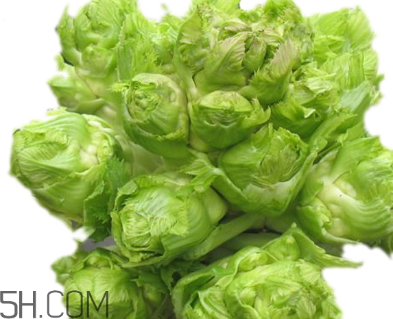 青菜頭是不是兒菜？大頭菜和兒菜的區(qū)別