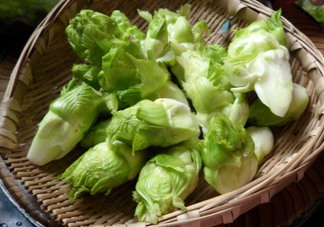 兒菜為什么叫兒菜？兒菜什么季節(jié)吃的