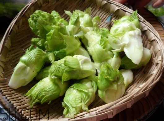 兒菜為什么叫兒菜？兒菜什么季節(jié)吃的