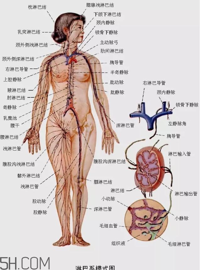 淋巴癌最嚴(yán)重時會成什么樣子？淋巴瘤能治好嗎