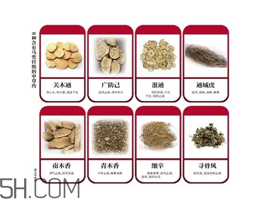 含馬兜鈴酸的藥都不能吃嗎？馬兜鈴酸真的會致癌嗎