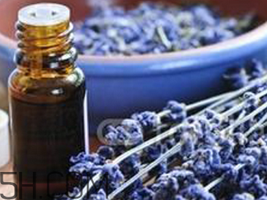 如何用精油護(hù)發(fā)？薰衣草精油護(hù)發(fā)怎么用？