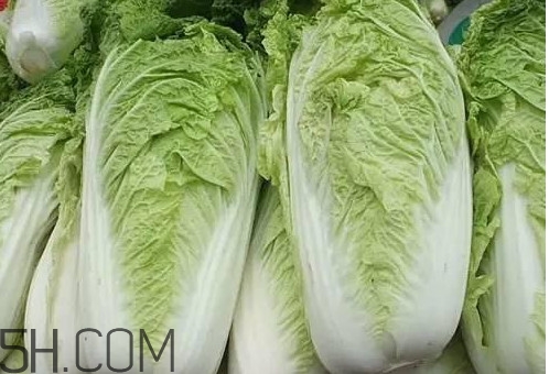 大白菜什么時候種最合適？大白菜怎么做好吃