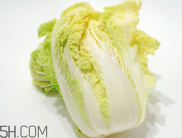 大白菜起源是哪里？大白菜產(chǎn)地分布有哪些