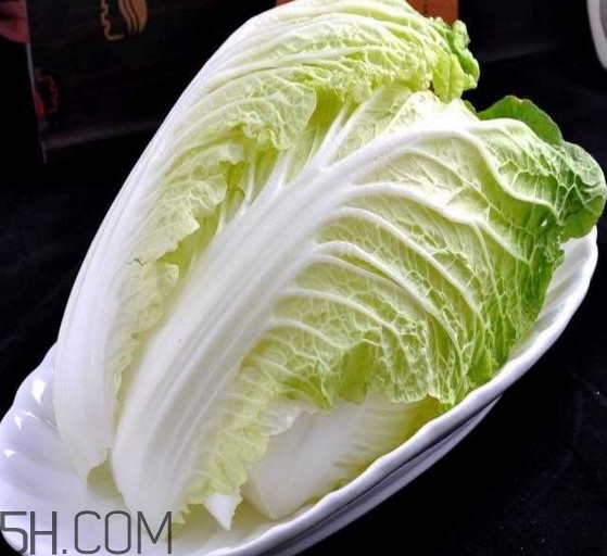 大白菜起源是哪里？大白菜產(chǎn)地分布有哪些