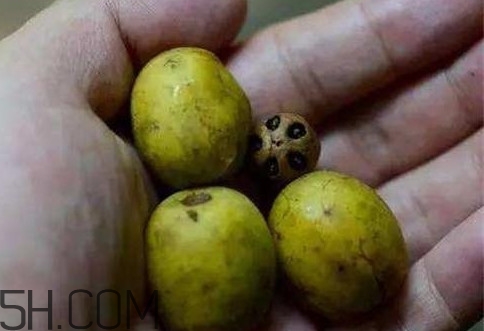 南酸棗可以泡酒嗎？南酸棗果核有什么功效