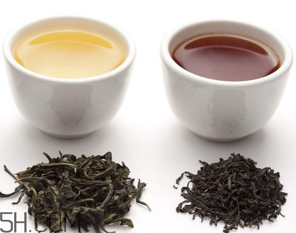 烏龍茶是什么茶？烏龍茶是紅茶還是綠茶