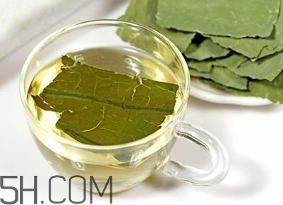 荷葉茶大概哪里有賣？荷葉茶副作用有哪些