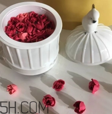 拉杜麗鳥籠腮紅多少錢？laduree2018拉杜麗鳥籠腮紅試色