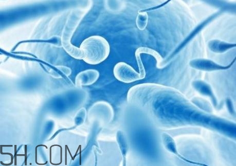 精子不液化是什么原因造成的？精子不液化吃什么藥好？
