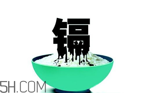 鎘污染會導致什么?。拷鞔竺诪楹螘k污染