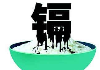 鎘污染會導(dǎo)致什么病？江西大米為何會鎘污染