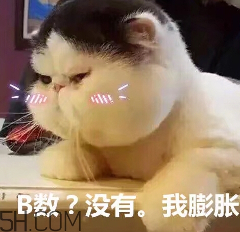 b數(shù)沒有我膨脹什么意思？b數(shù)沒有我膨脹表情包