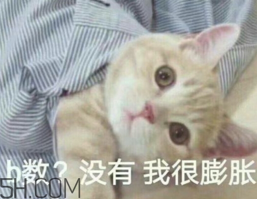 b數(shù)沒有我膨脹什么意思？b數(shù)沒有我膨脹表情包