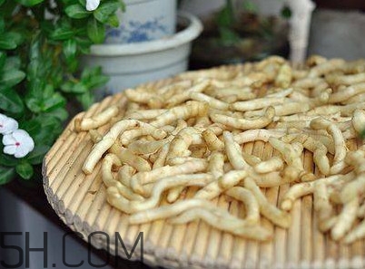 姜芽能吃嗎？姜芽怎么吃