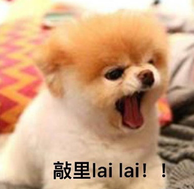 敲里lailai是什么意思？敲里lailai表情包無水印