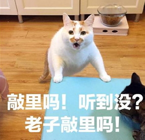 敲里lailai是什么意思？敲里lailai表情包無水印