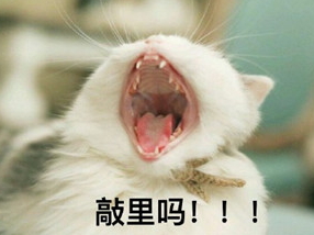 敲里lailai是什么意思？敲里lailai表情包無水印