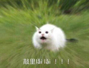 敲里lailai是什么意思？敲里lailai表情包無水印