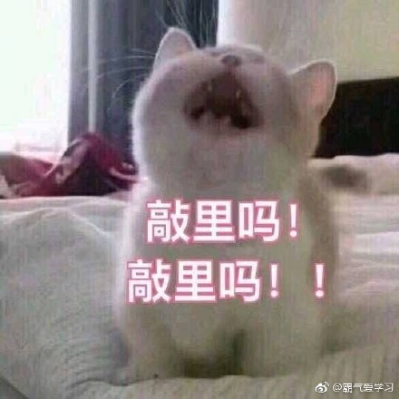 敲里lailai是什么意思？敲里lailai表情包無水印