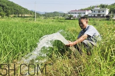 女生說抽水什么意思？女生發(fā)消息想抽水什么意思？