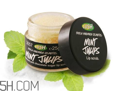 lush唇部磨砂膏好用嗎？lush唇部磨砂膏多少錢？