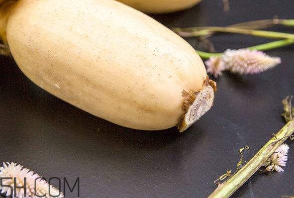 蓮藕是什么季節(jié)成熟的？蓮藕什么時(shí)候種植