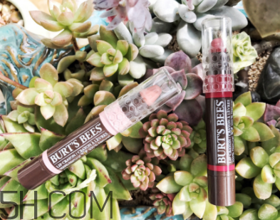 小蜜蜂唇膏筆多少錢？小蜜蜂唇膏筆很貴嗎？