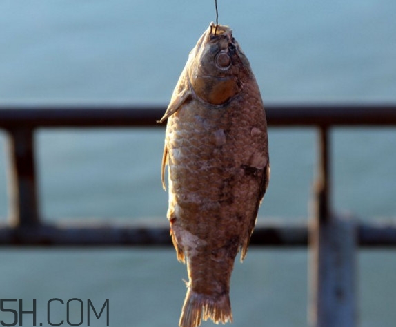咸魚什么人不能吃？怎樣去除咸魚的咸