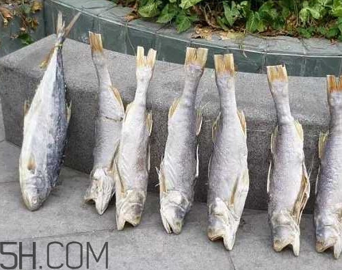 咸魚長毛還能吃嗎？怎樣辨別咸魚是否變質(zhì)