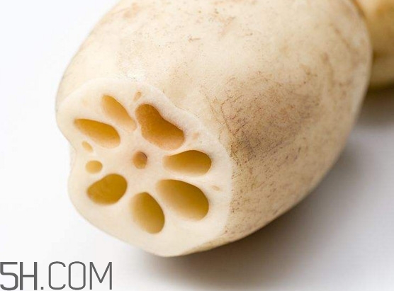 蓮藕是什么季節(jié)成熟的？蓮藕什么時(shí)候種植