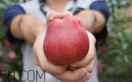 如何鑒別花牛蘋果？為什么叫花牛蘋果