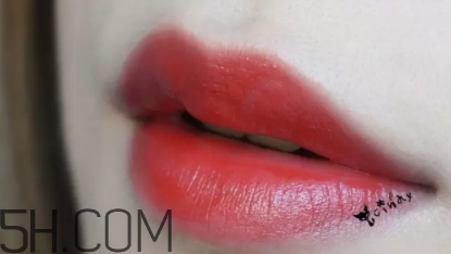 mac lady bug好看嗎？lady bug試色
