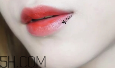 mac lady bug好看嗎？lady bug試色