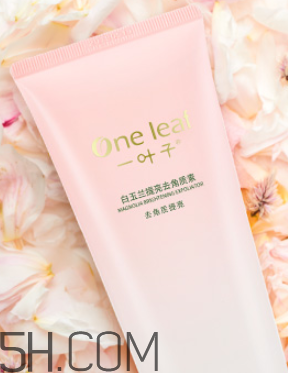 一葉子去角質素怎么樣？一葉子去角質素怎么用？