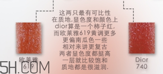 歐萊雅619和迪奧740像嗎？歐萊雅619秋葉和迪奧740對比